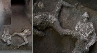 На раскопках в Помпеях нашли останки двух жертв извержения Везувия (8 фото)