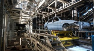Автомобильный завод MG Rover через десять лет после закрытия (15 фото)