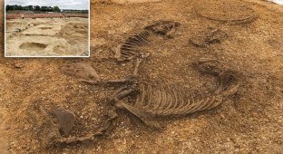 Британцы нашли редчайшее древнее захоронение (17 фото + 1 видео)
