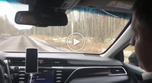 Чиновники из Ленинградской области показали «отличную» дорогу и похвалили сами себя за ее очистку