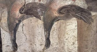Археологи откопали салат-бар в Помпеях (10 фото + 1 видео)