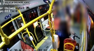 Спокойный и культурный пассажир в автобусе с детьми