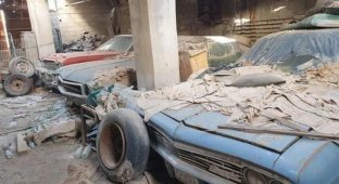 Дедушкины сокровища: в Бахрейне нашли заброшенную коллекцию классических авто (10 фото)