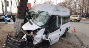 В Ульяновске водитель маршрутки снес иномарку и врезался в дерево (4 фото + 1 видео)