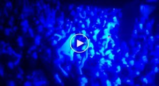 В Донецке на концерте Ляписа Трубицкого фанаты спели гимн Украины (майдан)