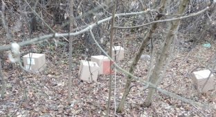 В лесу под Краснодаром нашли коробки с вакцинами (5 фото)