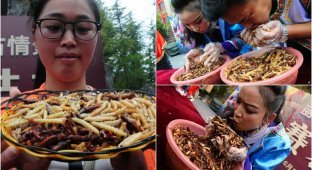 Китаец выиграл золото скушав 1.23 кг жареных жуков за пять минут (13 фото)