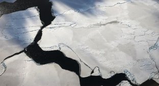 В Антарктиде появилась огромная дыра и никто не знает причину (4 фото)