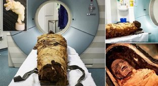Ученые заставили мумию заговорить (6 фото)