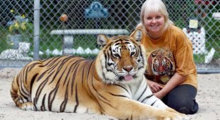 Мать тигров держит у себя во дворе двух огромных хищников (11 фото)