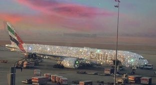 В Дубае украсили авиалайнер тысячами бриллиантов (3 фото)
