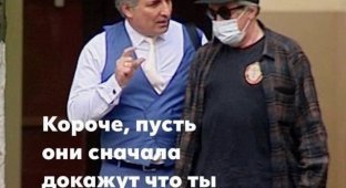 Шутки и мемы про бывшего адвоката Михаила Ефремова Эльмана Пашаева (10 фото)