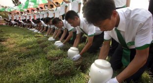 Экологичное захоронение на китайском кладбище (10 фото)