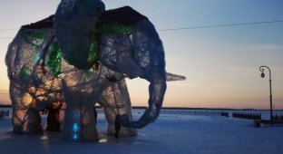 В Архангельске завершилось сооружение гигантского слона из пластиковых бутылок (9 фото + 1 видео)