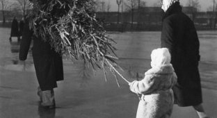 Фото из СССР. Новый год! 1950-е (17 фото)