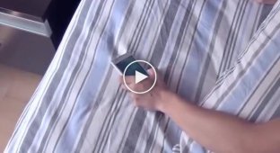 Будильник, который заставит вас встать с кровати (2 фото + 1 видео + 3 гиф)