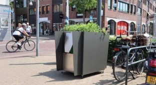 Странные туалеты в Амстердаме, в которых можно не только справить нужду (4 фото)