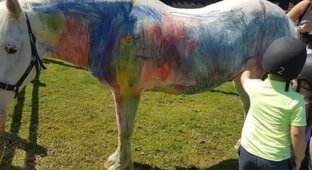 Живой холст: британские зоозащитники требуют запретить рисовать на пони (4 фото)
