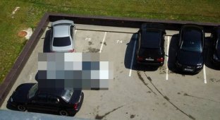 Кара за неправильную парковку в Свердловской области (3 фото)