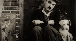Последняя гастроль «Бродяги». Как Чарли Чаплина похитили после смерти (8 фото)