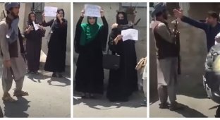 Прав и свобод: в Афганистане прошла первая, после смены власти, женская манифестация (5 фото + 1 видео)