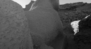В Египте откопали криосфинкса времен дедушки Тутанхамона (8 фото)