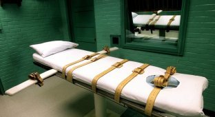10 преступлений, за совершение которых вас могут приговорить к смертной казни в США (11 фото)