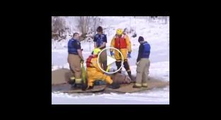 Как спасали лошадку, которая провалилась под лед