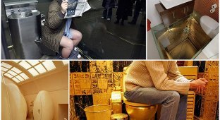 Самые креативные туалеты в мире (10 фото)