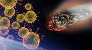 У коронавируса может быть "космическое" происхождение