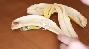 Самый бесполезный лайфхак с кожурой от банана