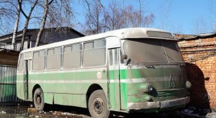 Автобус ЛАЗ-695М - Её зовут Маруся (14 фото)