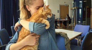 Котик приходит в универ каждый день спасать студентов обнимашками (5 фото)