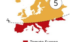 18 стереотипных карт Европы (18 фото)