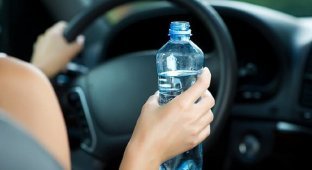 Австралийским водителям запрещают пить воду за рулем (3 фото)