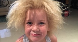 Школьница из Мельбурна, чьи волосы не может "укротить" ни одна расческа (8 фото)