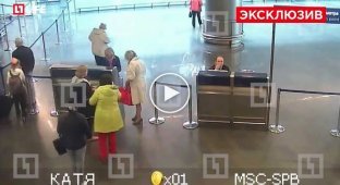 Камеры сняли как 11-летняя девочка проникла в самолет во Внуково