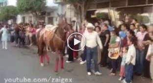 Gangnam лошадь