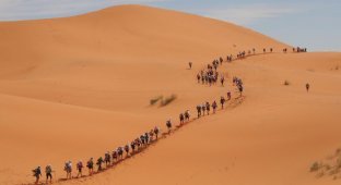 Песчаный марафон (13 фото)