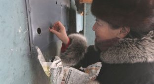 Коммунальная служба Минска хоронит котов заживо (8 фото)