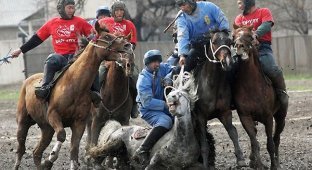 Конно-спортивный турнир по кок-бору в Бишкеке (7 фото)