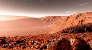 На Марсе нашли следы жизни (2 фото)