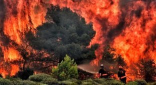 Пожары в Греции: ад на Земле (13 фото + 1 видео)