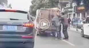 Два крестьянина против быка во время транспортировки