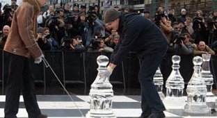 Ледяные шахматы в Москве, 11 января (13 фото)