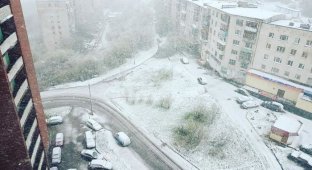 Снегопад в Мурманской области (14 фото)