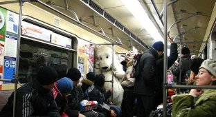 Медведь в метро Екатеринбурга (9 фото)
