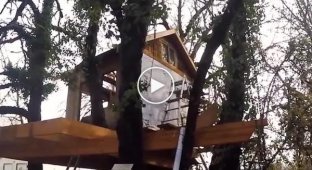 Папа для своих детей, сделал невероятный дом на дереве своими руками