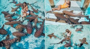 Модели устроили фотосессию с акулами (9 фото)