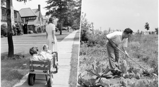 Как выглядела размеренная жизнь спальных пригородов штата Нью-Йорк в конце 1940-х (22 фото)